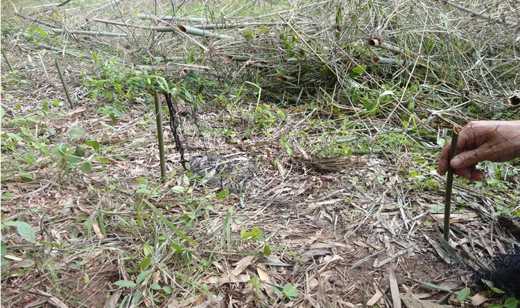 捕蛇网 抓蛇网10张包邮 送蛇袋 量大优惠 抓蛇 驱蛇网