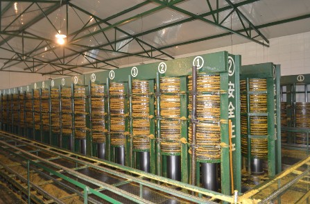 不老星牌非转基因物理压榨笨榨大豆油食用油5l*2春节礼盒批发零售