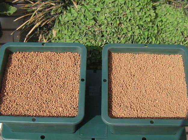 进口基质_多肉花盆养基质陶粒 团购价 20kg袋装 聚划算 - 阿里巴巴