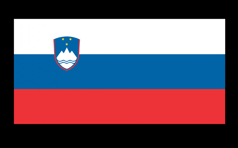 专业经销批发万国国旗旗子串国旗车旗刀旗彩旗司旗国旗