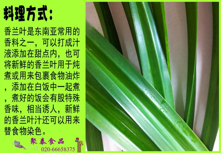 斑兰,海南斑兰草,斑兰草(第18页)_大山谷图库
