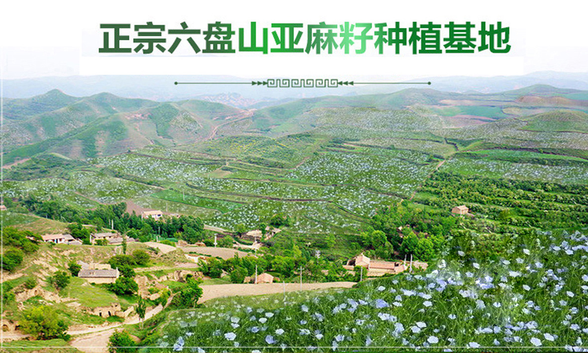 婴幼儿专用油 学生补脑聪明油 食用油厂家直销 有机亚麻油包邮