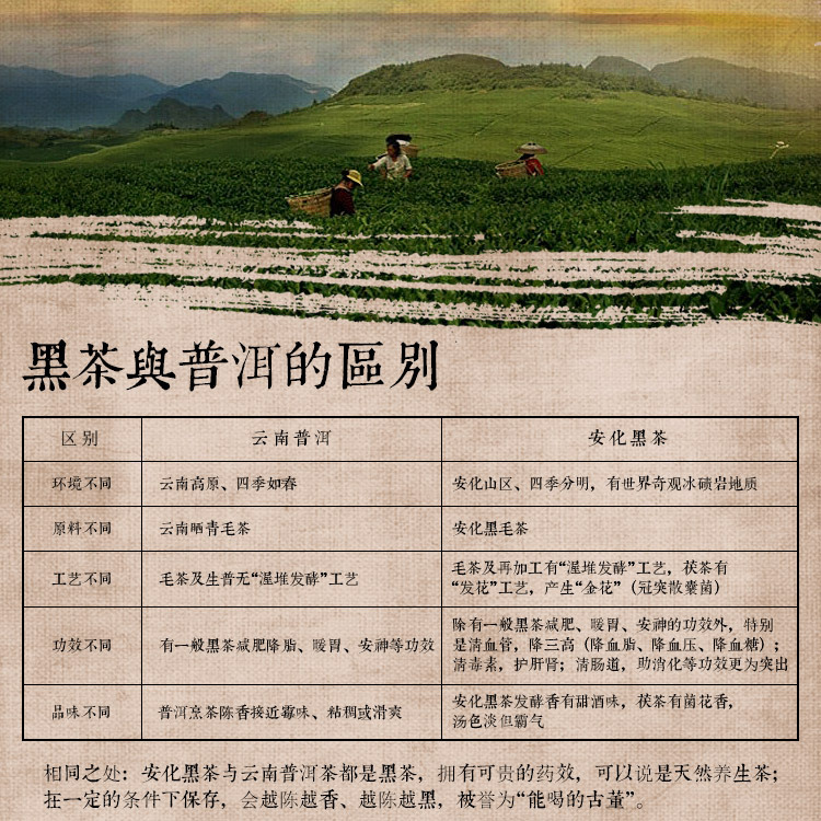 安化黑茶莲花山黑砖茶600g 消食去腻 降血压血糖黑茶茶叶批发