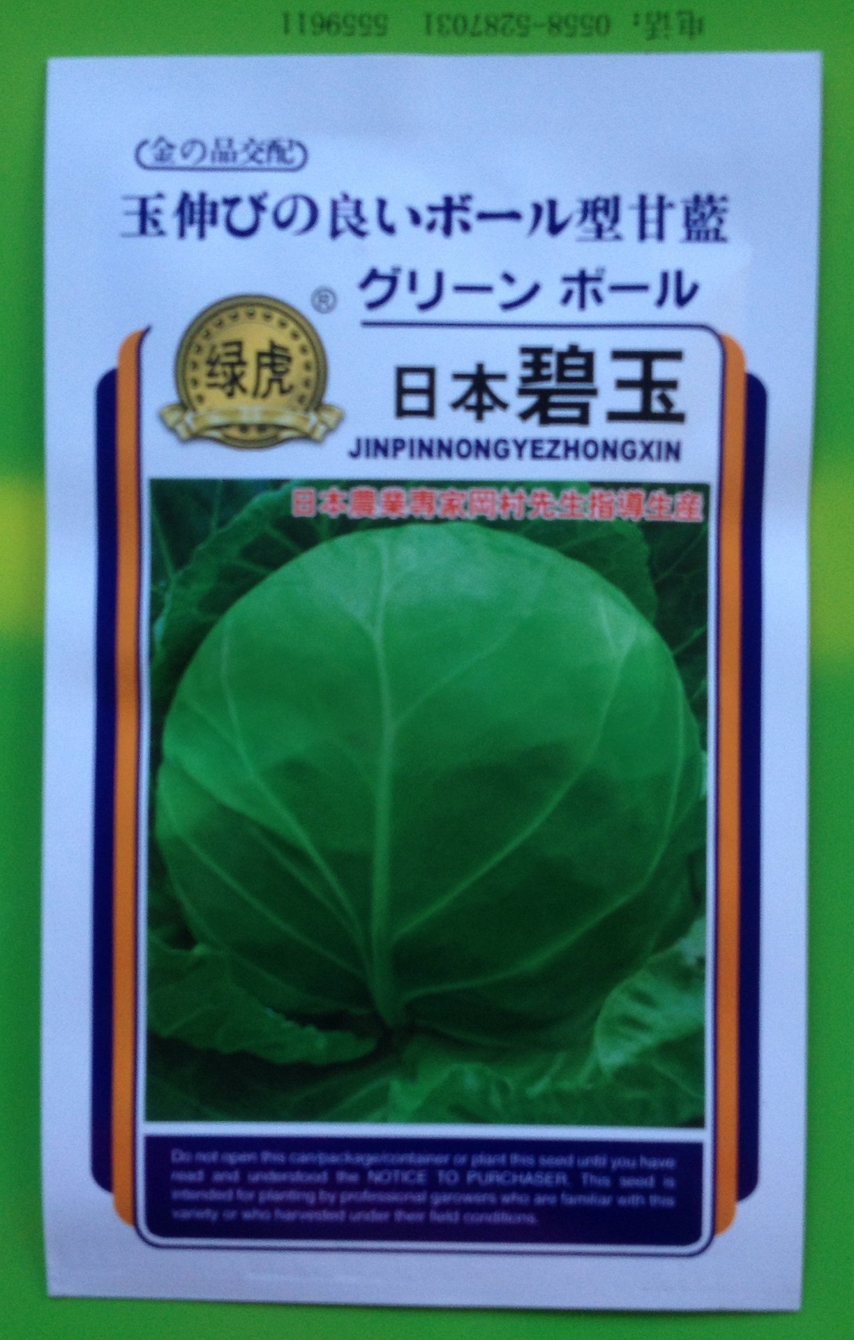 日本碧玉甘蓝 早熟甘蓝菜种子