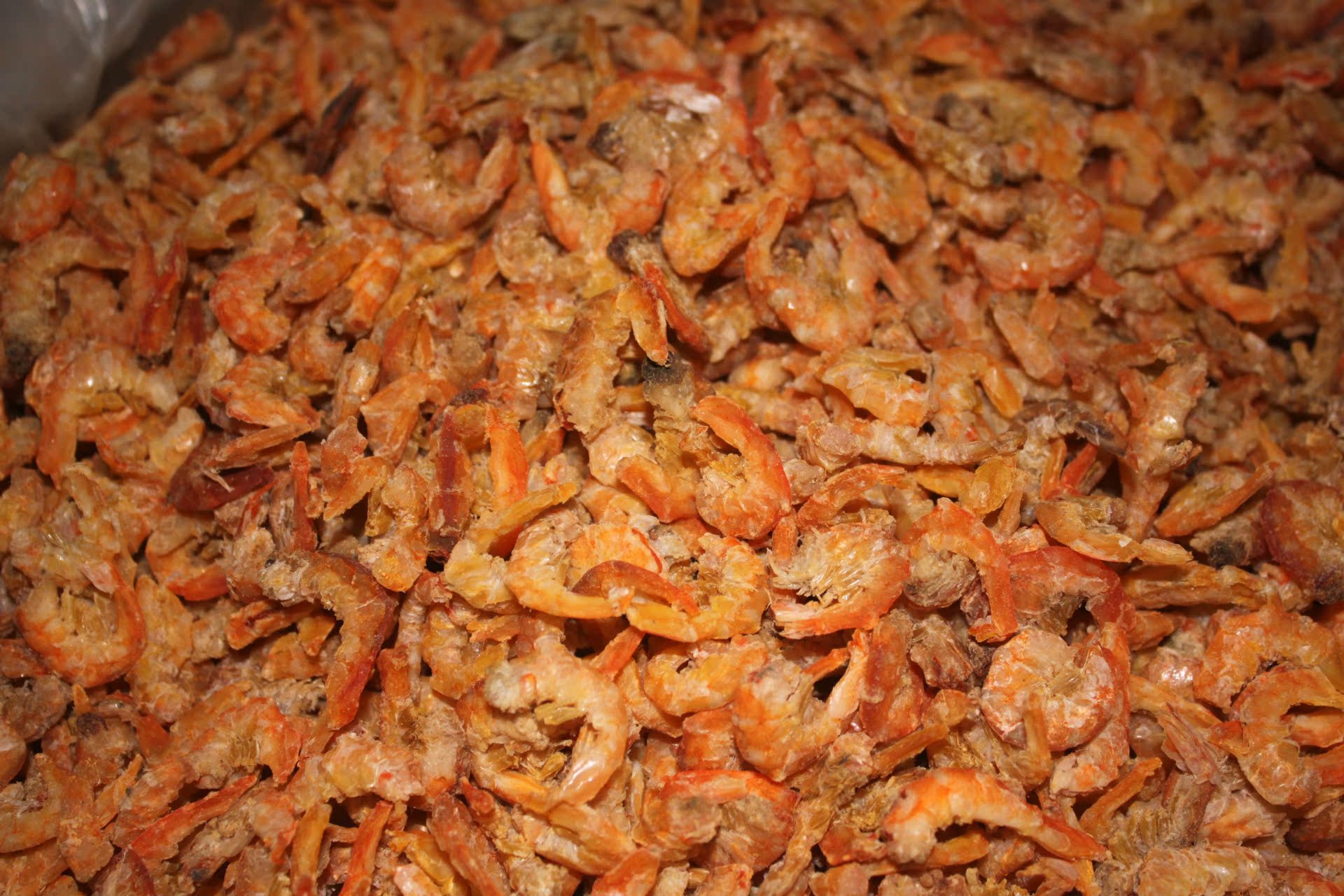 纯天然 散装金钩海米 精品 海鲜干货 海产品批发 干海货水产