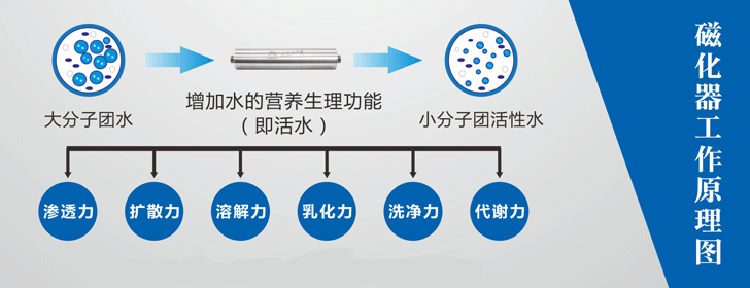 纯帝高能磁化器 磁化水器 磁化水处理器 活化小分子水 磁化净水器