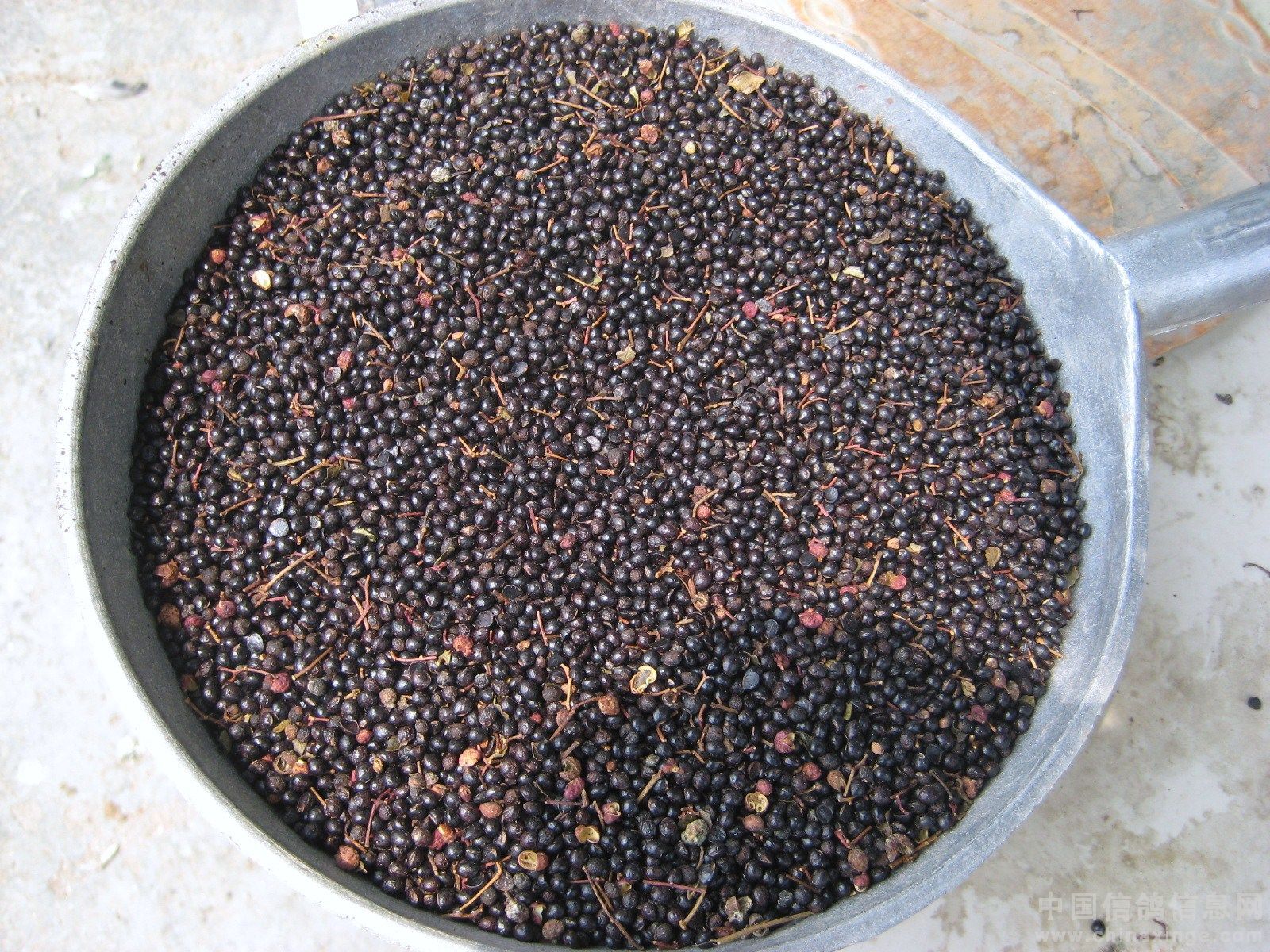 供应花椒籽粉籽,花椒粕 可做饲料原料食用