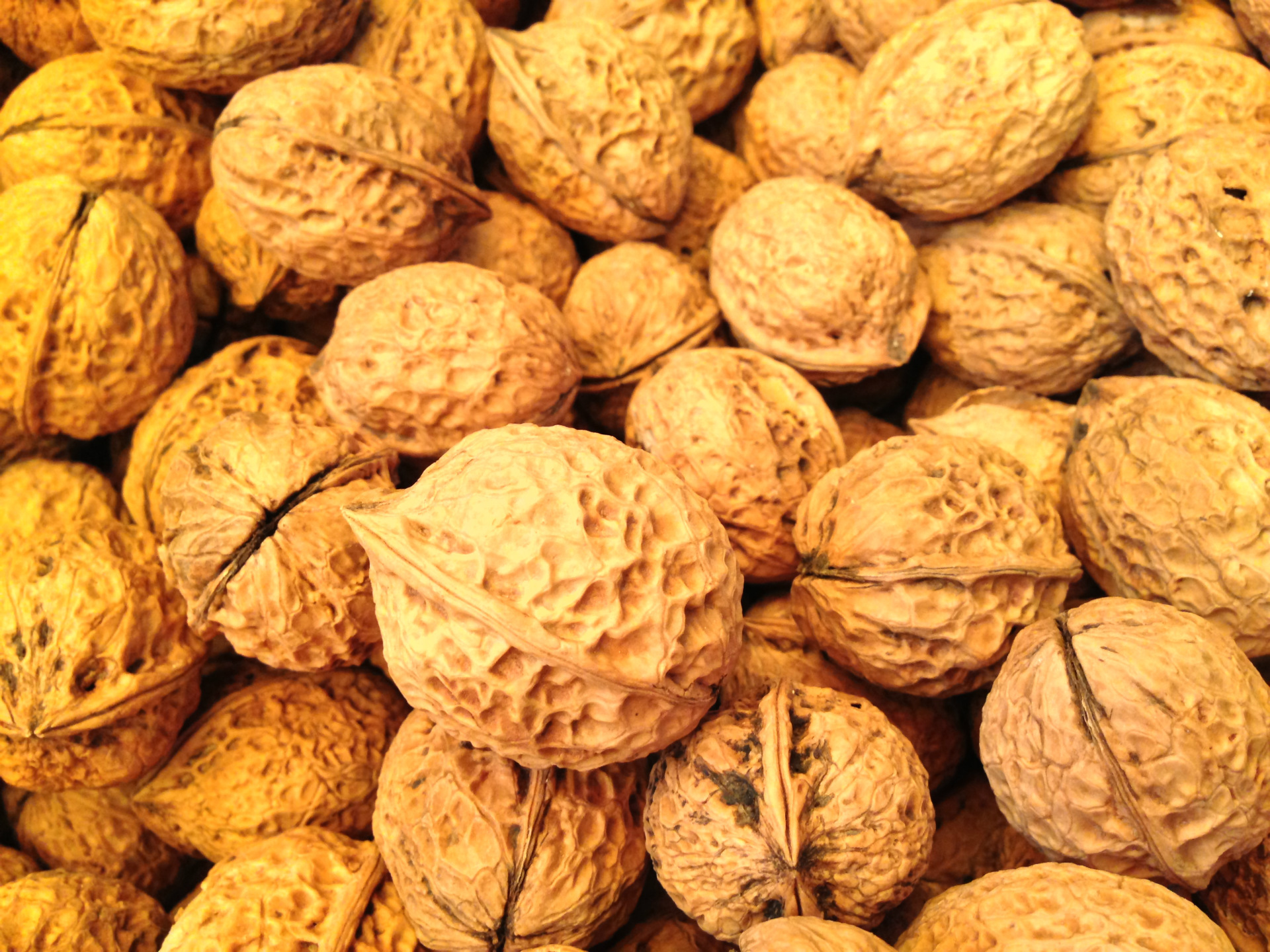 云南纸皮核桃 高山 沙皮核桃果皮超薄 回甜不涩口 低油脂补脑极品