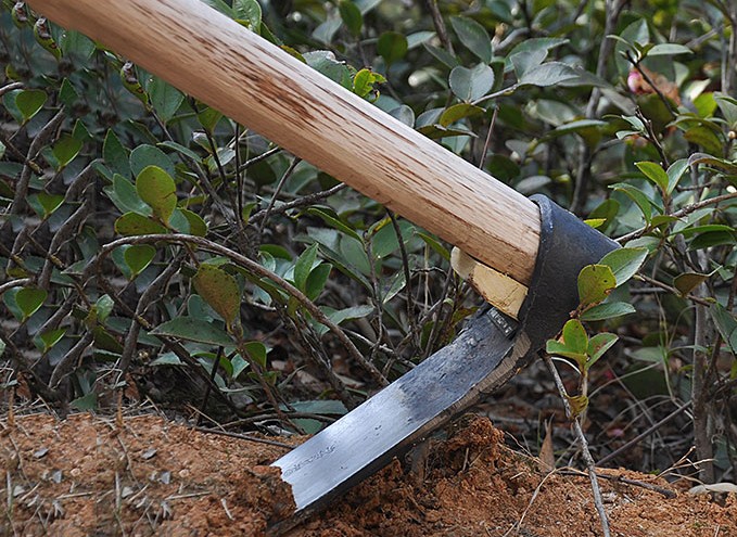 家用翻土铁锄头 挖竹笋专用铁锄头 精钢锄头不含木柄 送铁卡头