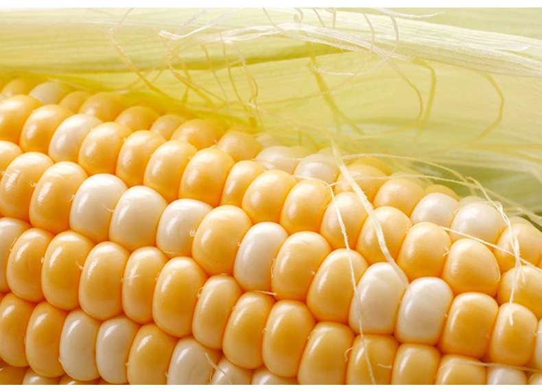 水果玉米 速冻新鲜玉米粒 营养餐饮搭配 可批发图片_5