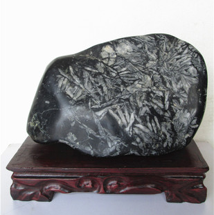 竹叶石 山东莱州奇石摆件 黑玉石底竹叶石 14042506