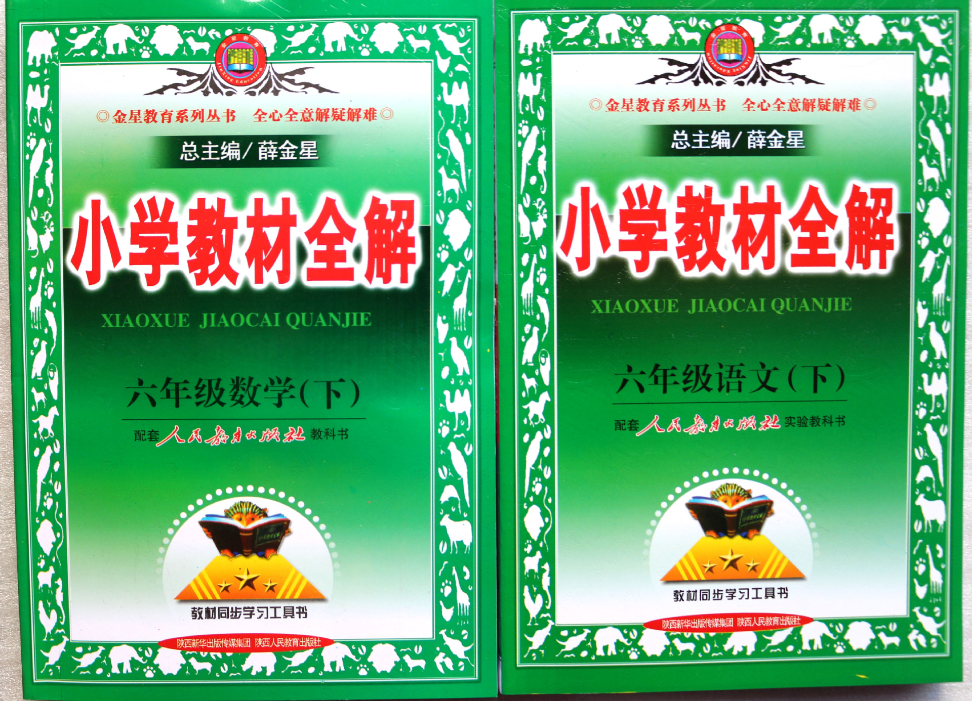 2015教辅图书薛金星小学教材全解36年级语数下册人教版