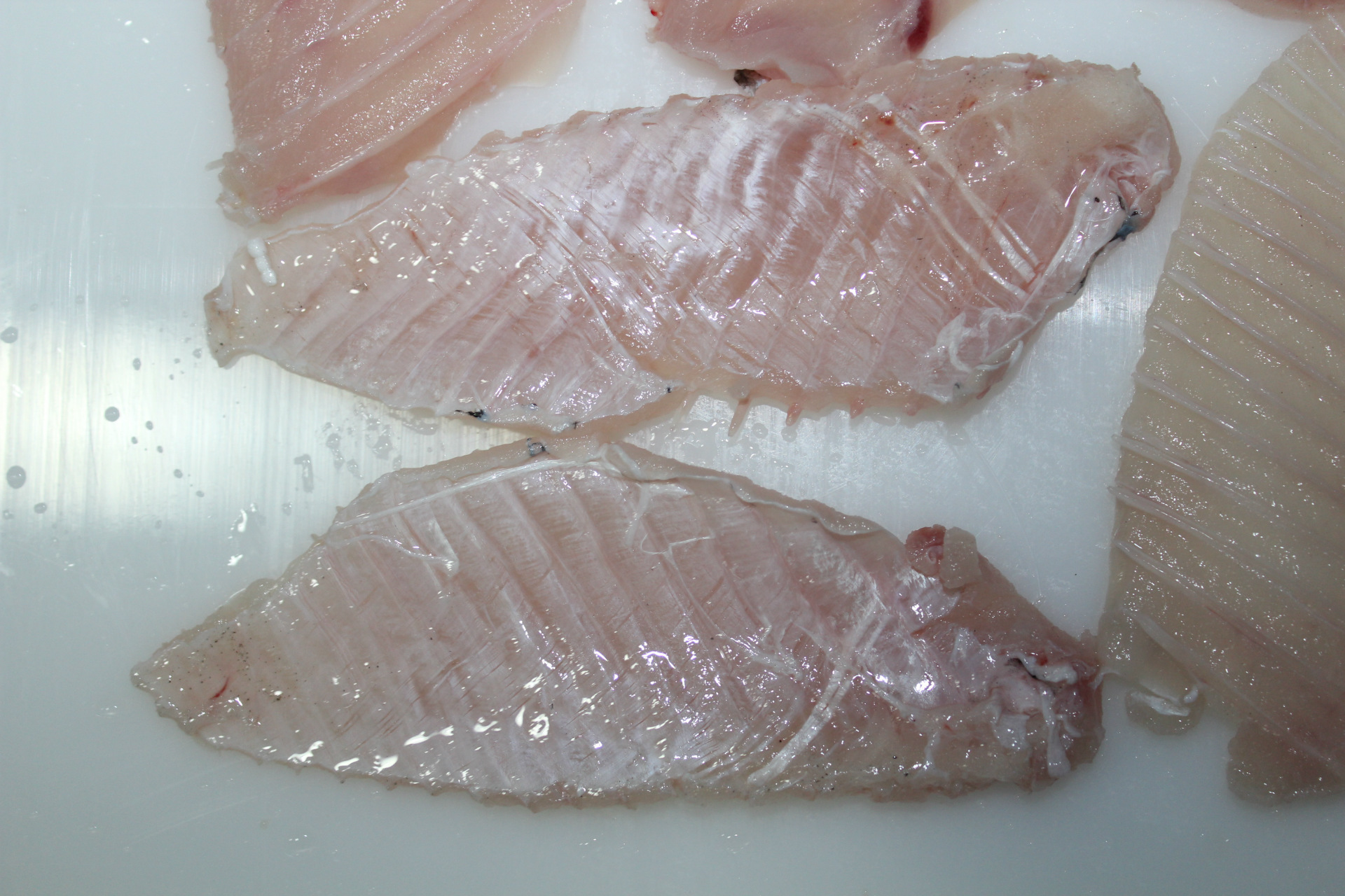 冷冻草鱼鱼排/单冻鱼肋/冷冻水产/淡水鱼加工