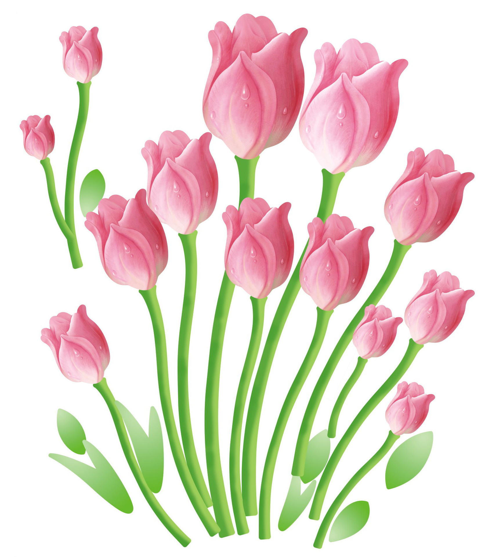 ay601郁金香 效果图11