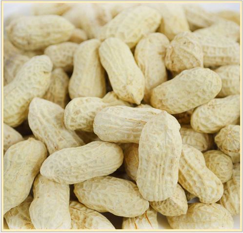 漳浦花生 原味带壳 水煮白晒 花生天然晒干 支持一件代发 图片_高清大