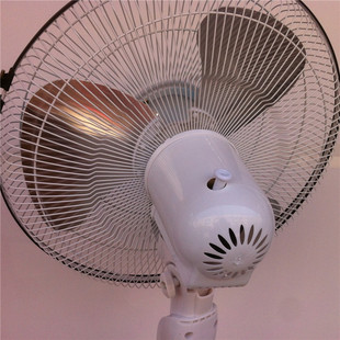 火爆礼品 家用扬子华美22型风扇 落地风扇办公电风扇
