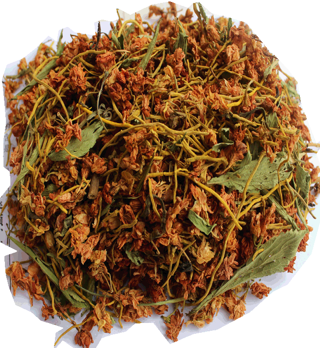 2015热销产品 雪山黄龙茶 黄龙草 雪山黄龙根 批发 养生茶送广告