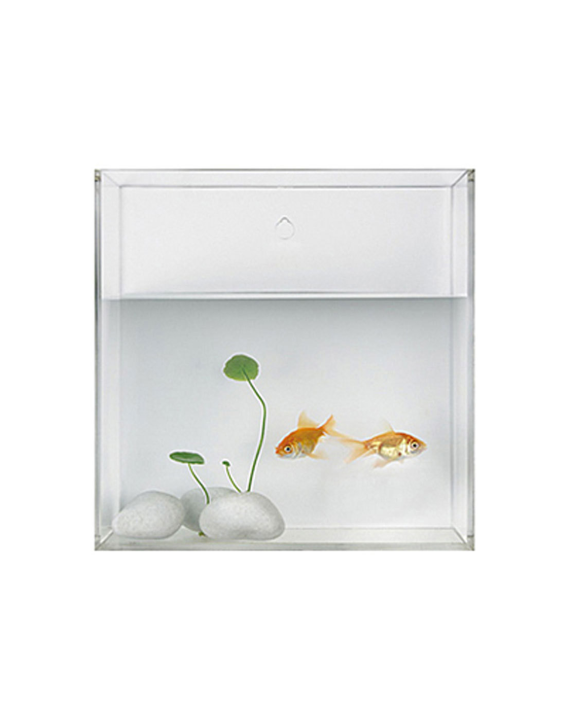 亚克力小鱼缸 有机玻璃精美鱼缸 专业订做小鱼缸
