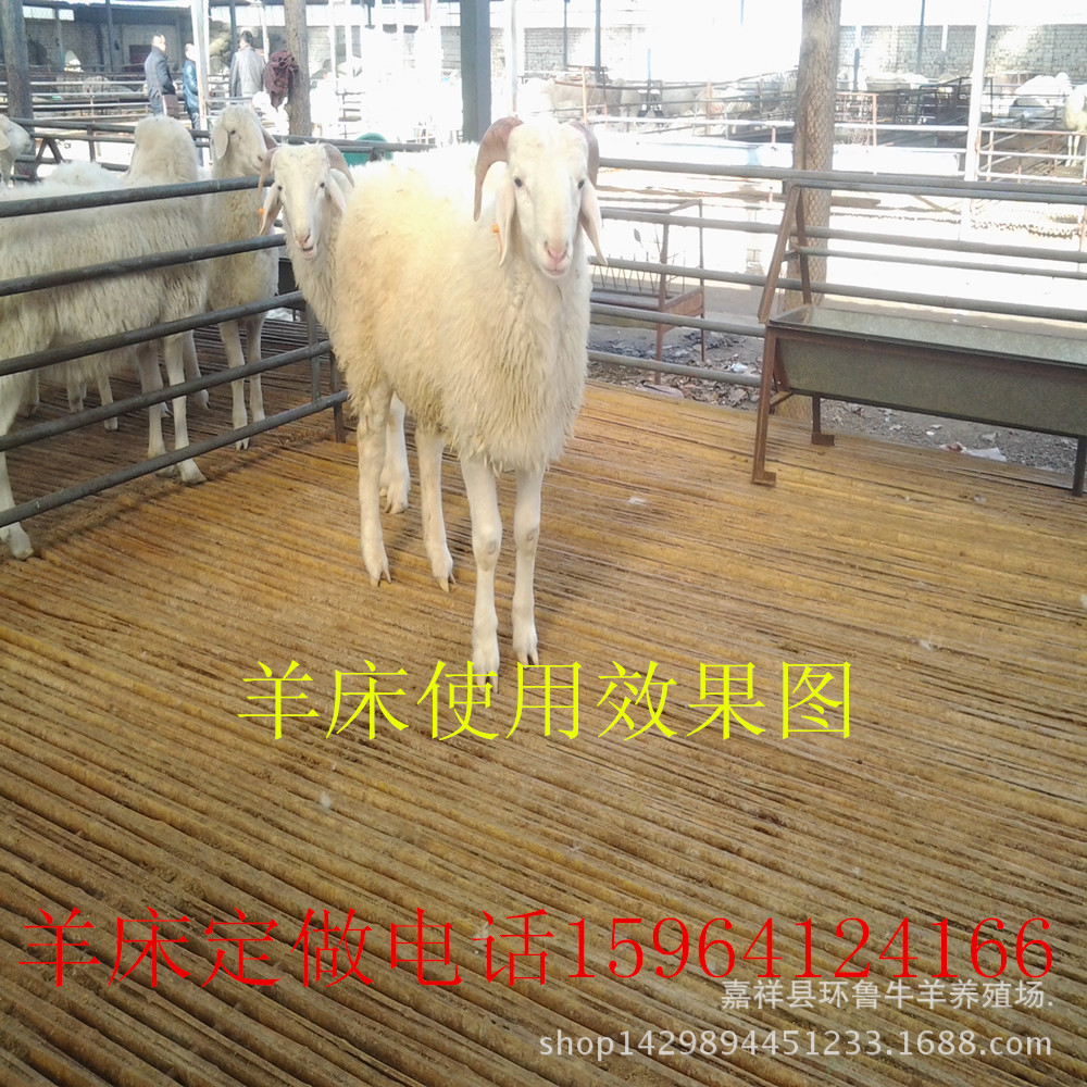 山东济宁青岛羊床价格羊床漏粪板价格 - 中国供应商移动版