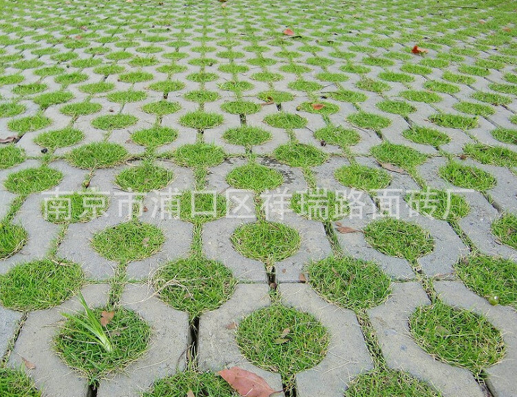 六邊形護坡植草磚 公園停車場植草磚 耐磨六邊形植草草坪磚批發