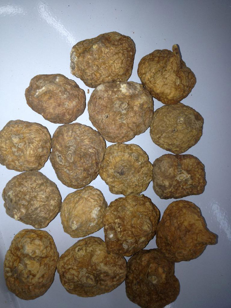 秘鲁玛卡片 秘鲁玛卡干果 秘鲁黄玛卡 玛卡精片 地摊保健特产批发