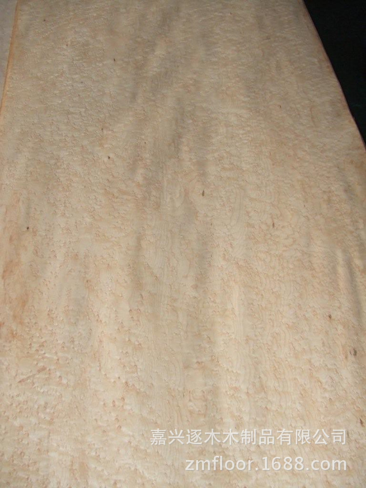 枫木雀眼天然木皮 2米5以上优质进口木皮