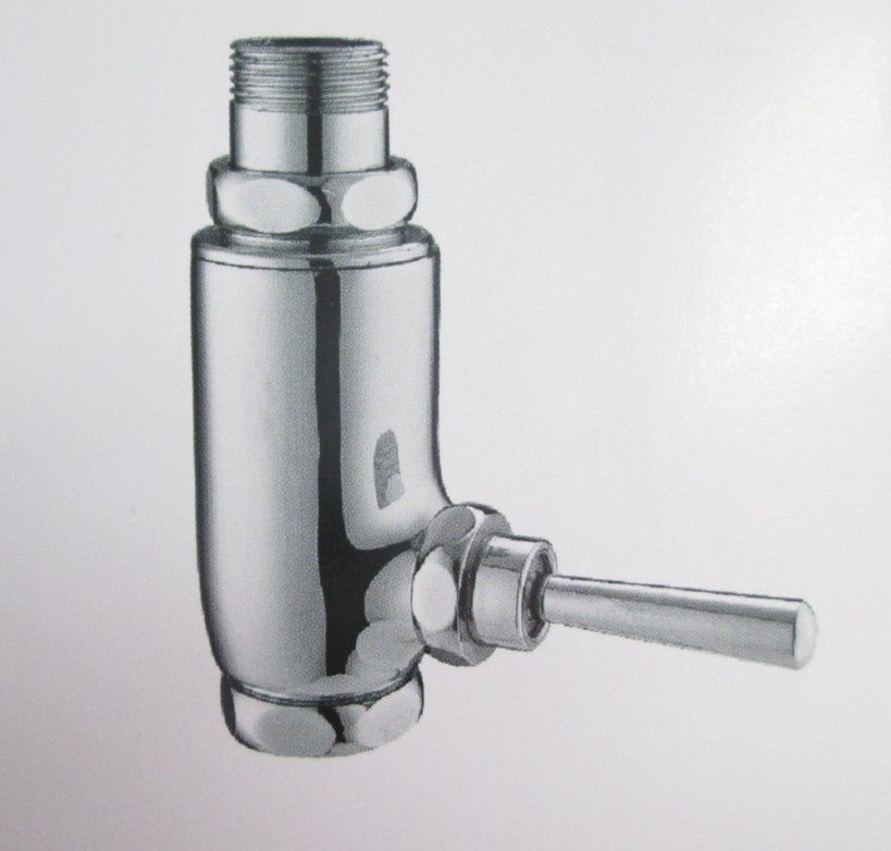 全铜立式 手压冲洗阀 按压冲水器 自闭式延时阀 把手冲水阀