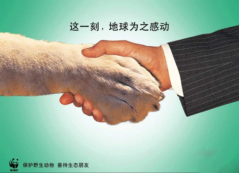 公益一起来#善待野生动物 ,善待环境,也就是善待自己