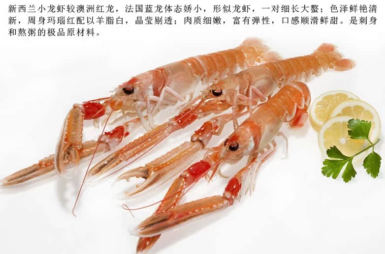 斯干比 scampi 新西兰小龙虾 南极虾 南极深海螯虾 2kg一盒