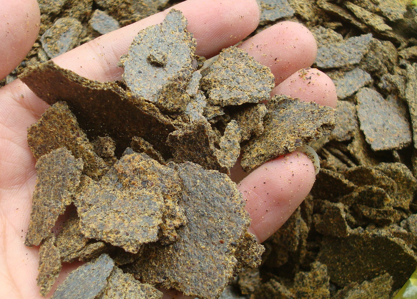 菜饼肥饼肥油菜饼菜籽饼有机肥农家肥有机花肥