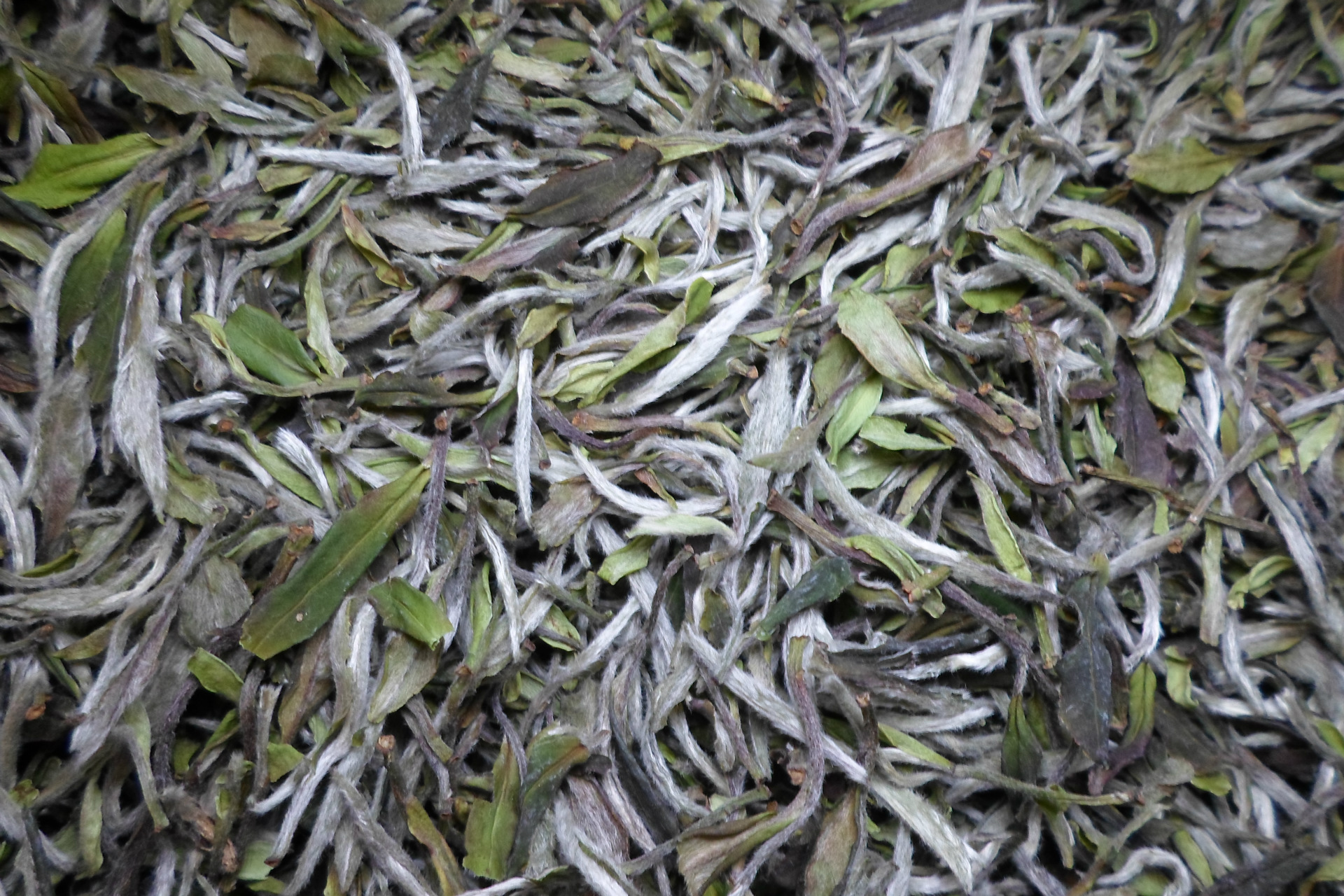 2015年野生白牡丹 福鼎白茶饼茶叶老白茶陈年 厂家直销量大从优