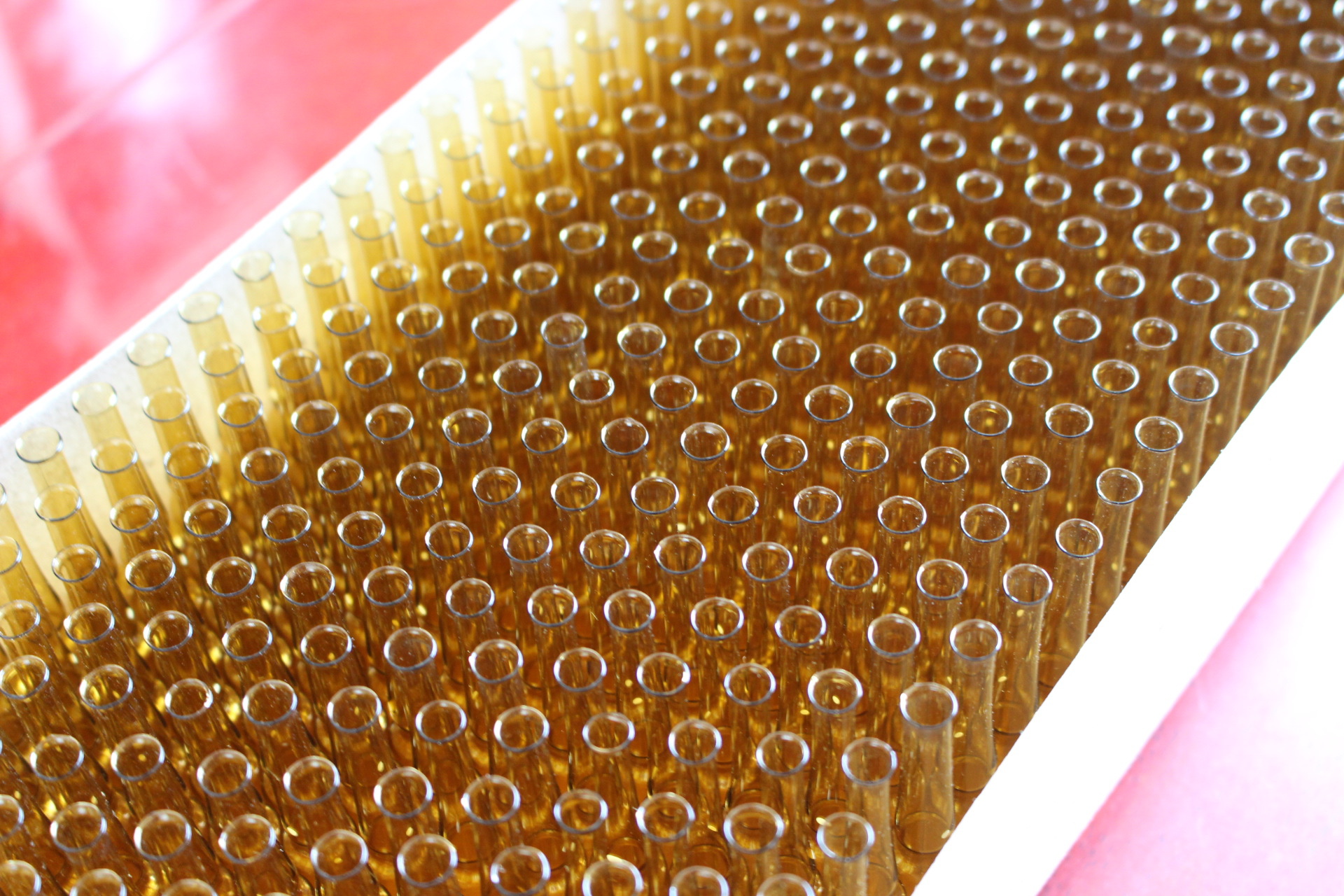 厂家提供曲颈易折安瓶 安瓿瓶 1-20ml 医药用瓶 - 包装材料批发交易网