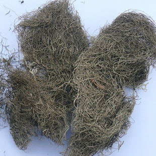 头发七 批发冷背中药材 人头七 黑丝带 滋补肝肾 收敛止汗 遗精