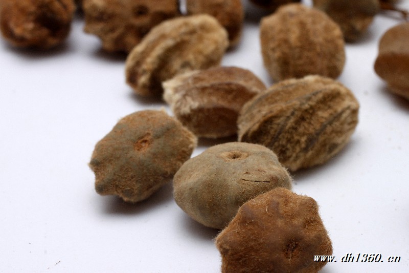 佛手菩提子 白玉龙骨菩提子原籽 白玉菩提子原籽批发斤包邮 散珠