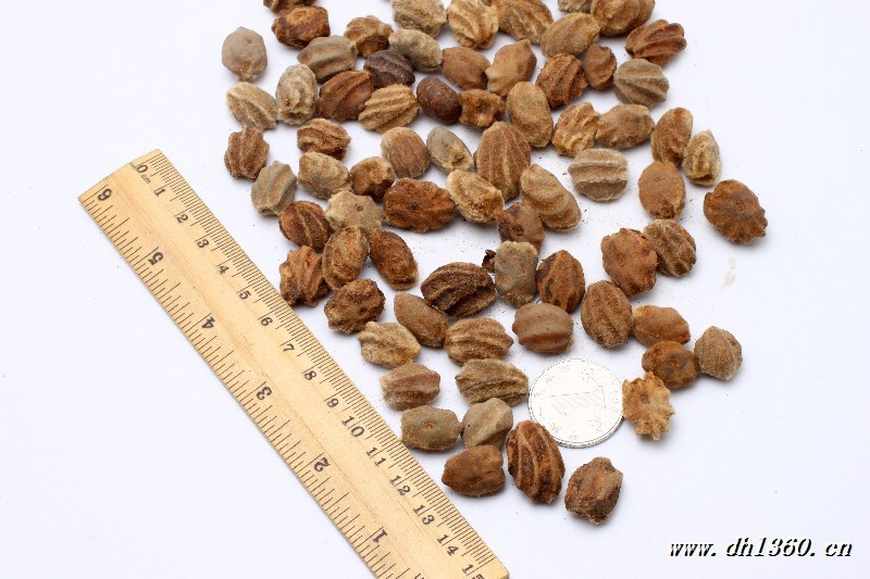 佛手菩提子 白玉龙骨菩提子原籽 白玉菩提子原籽批发斤包邮 散珠