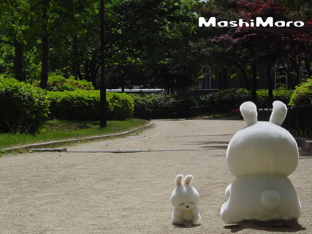 亲身经历——创业有风险,但是我有招