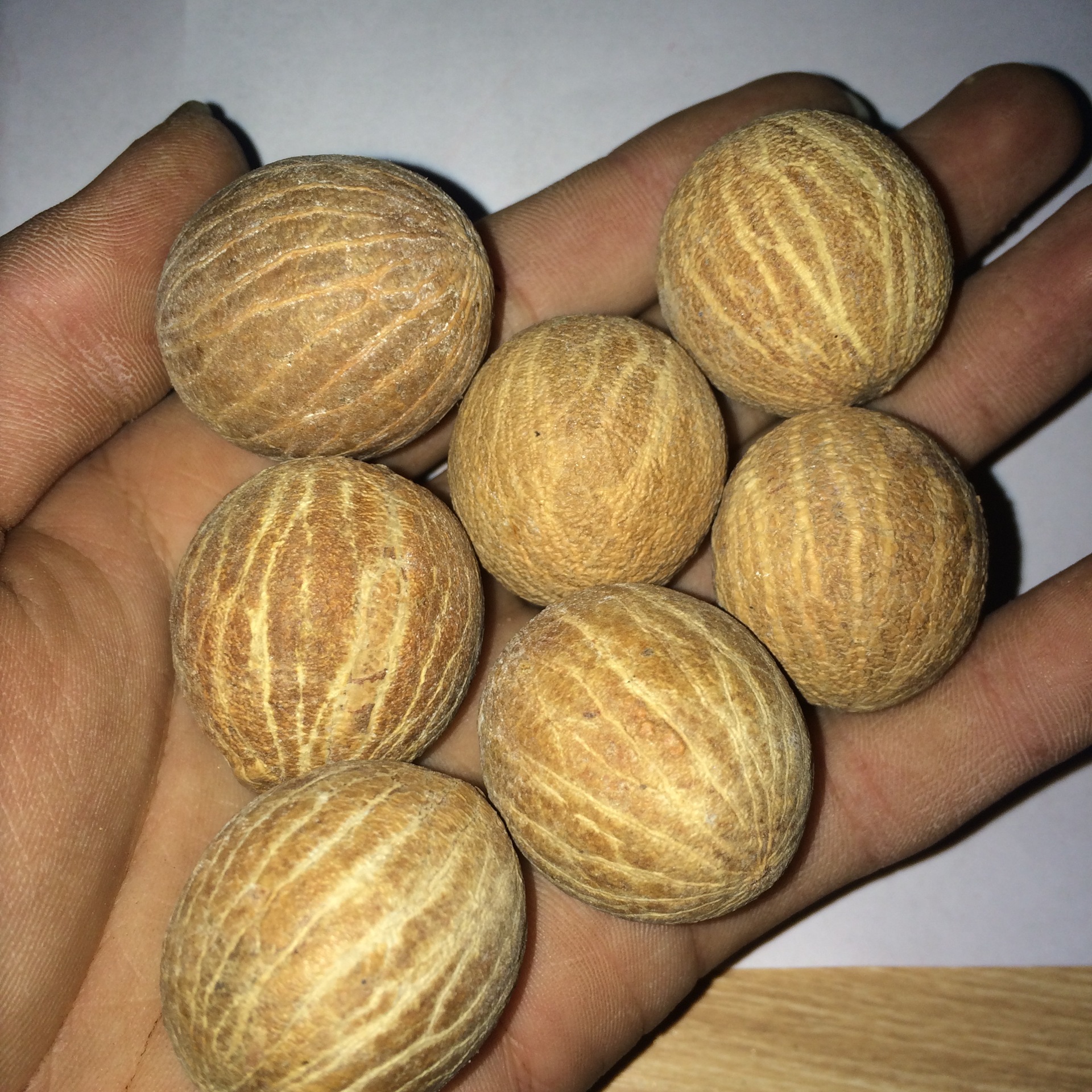 白菩提根原果批发 优质 菩提根原籽108 通货一手货源现货