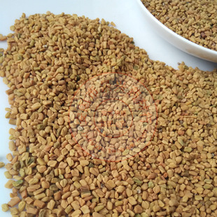 葫芦巴中药景兴芦巴/香草子/小木夏/胡卢巴种子新货批发