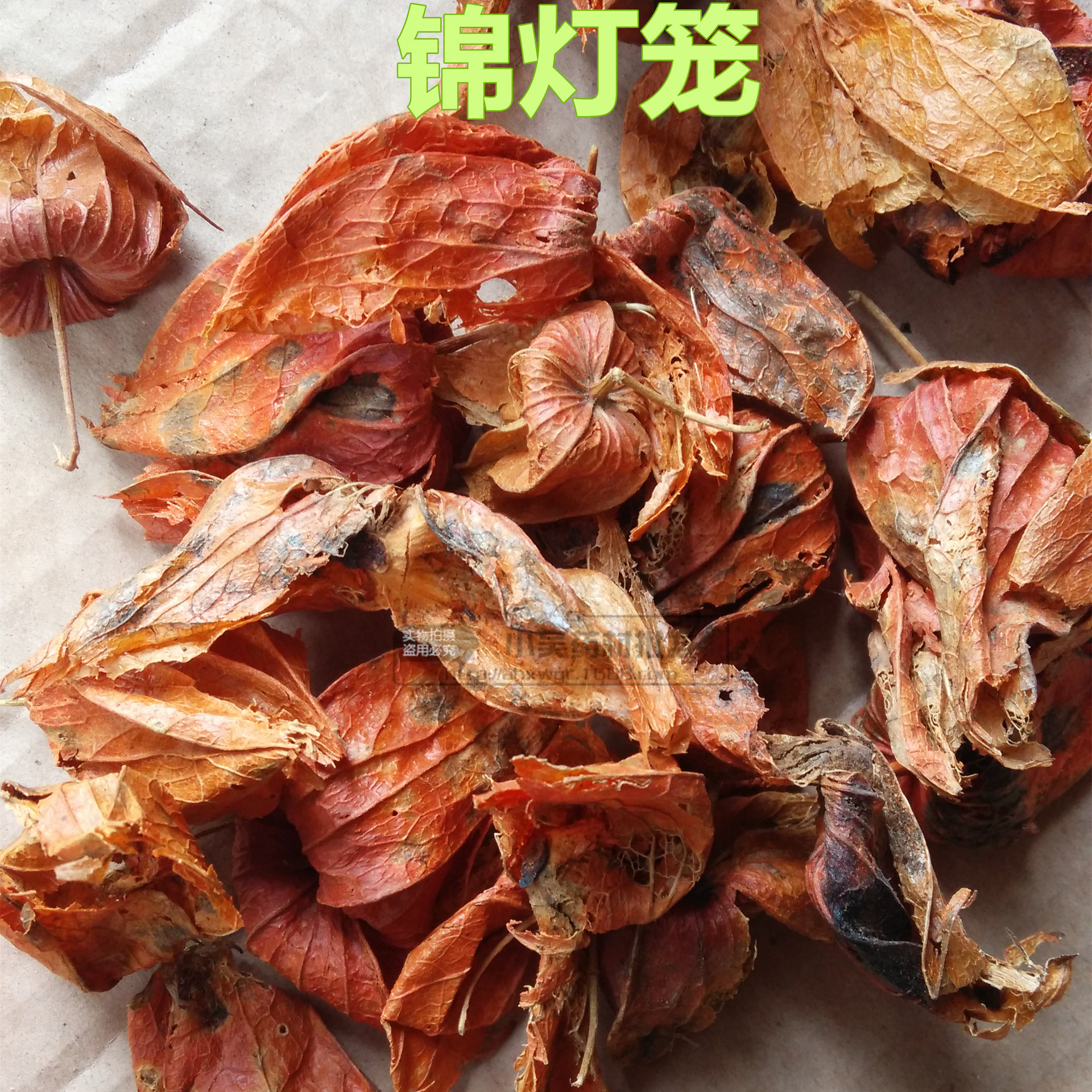 批发中药材 锦灯笼 挂金灯 清热解毒 利咽化痰 产地直销一手货源