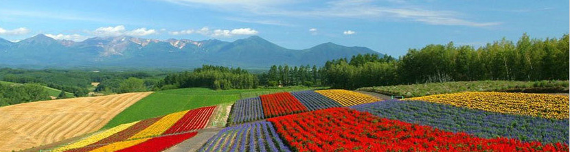 澳洲茶树精油抑螨净肤水