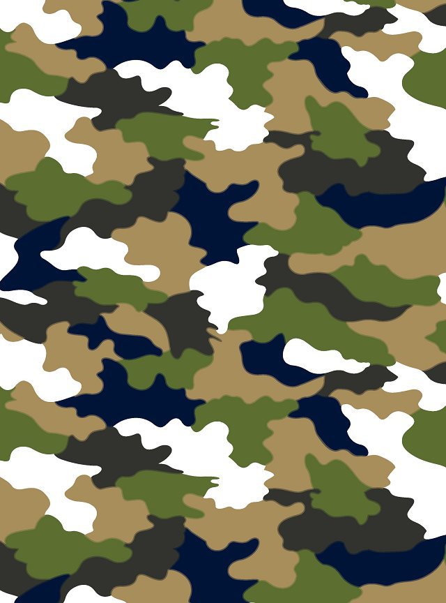 rc荣昌2015年新款迷彩马图案印花帆布鞋材箱包面料批发