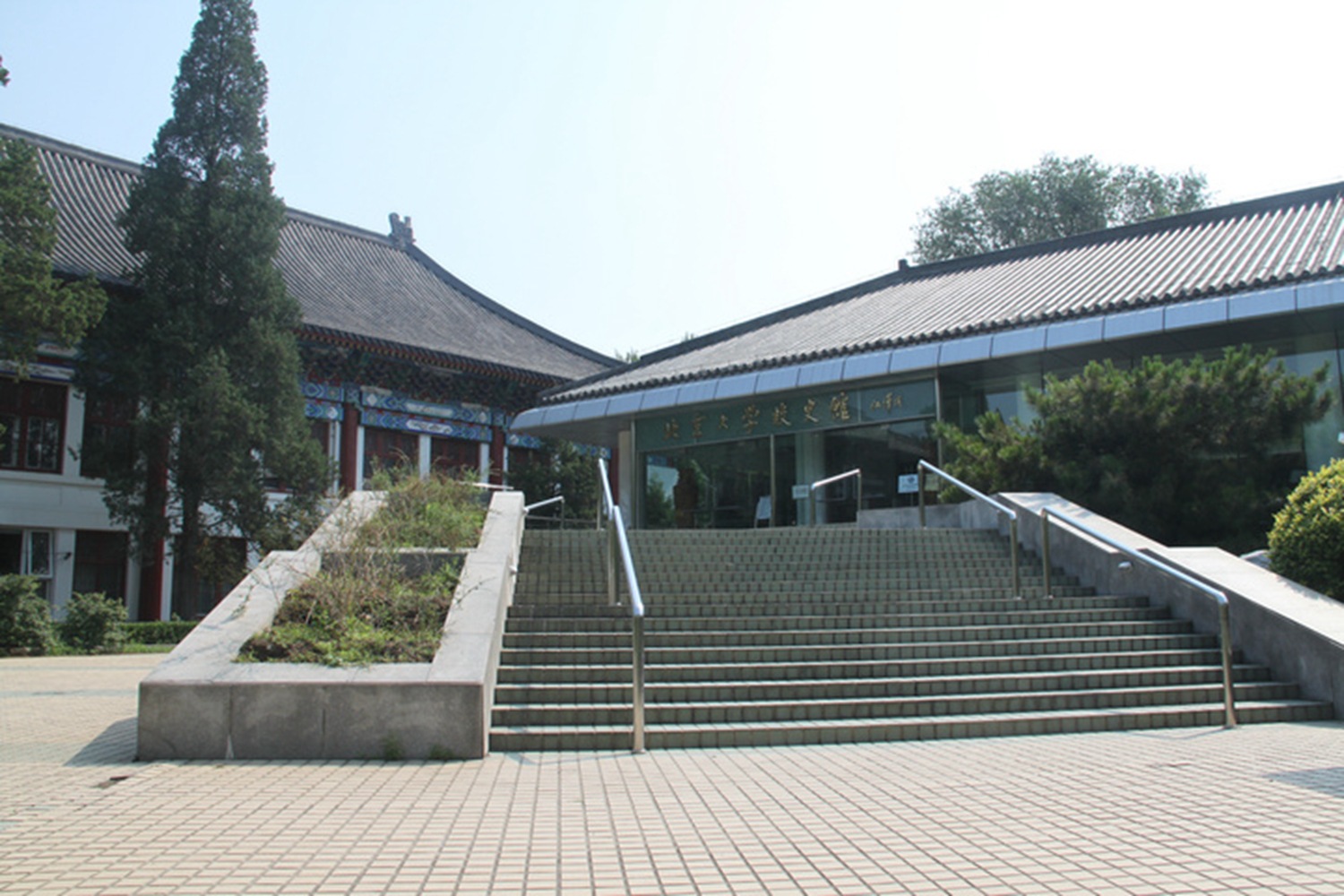 高等学府北大小搏与我一同见证