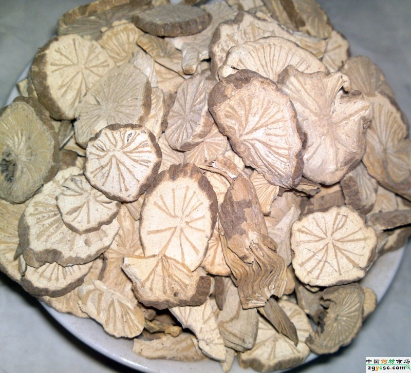 木防己 广防己 土防己 土木香 祛风止疼 行水消肿