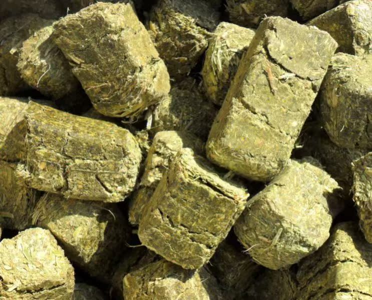 磨牙草砖 苜蓿草砖 小宠磨牙佳品草块 500g 批发中