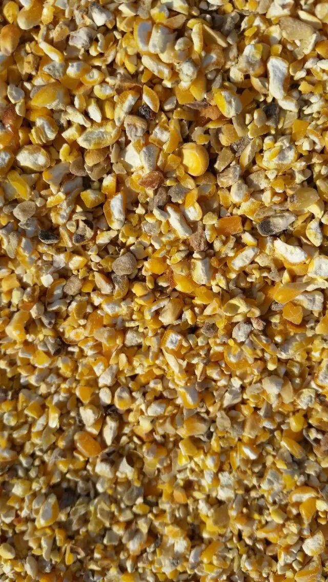 玉米筛漏(玉米皮,碎玉米=适合喂鸡鸭鹅猪牛羊,做动物饲料)