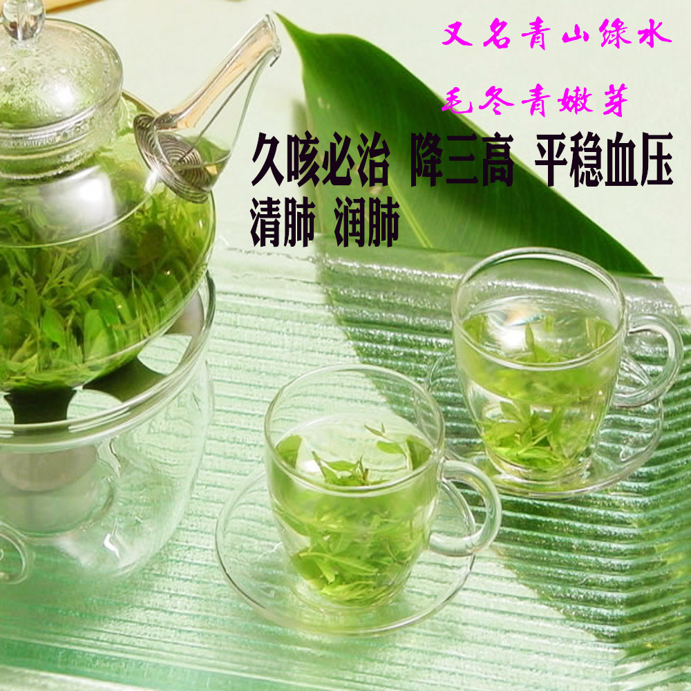 批发供应毛冬青 花茶 苦丁茶 毛东青 广告录音销售一条龙服务