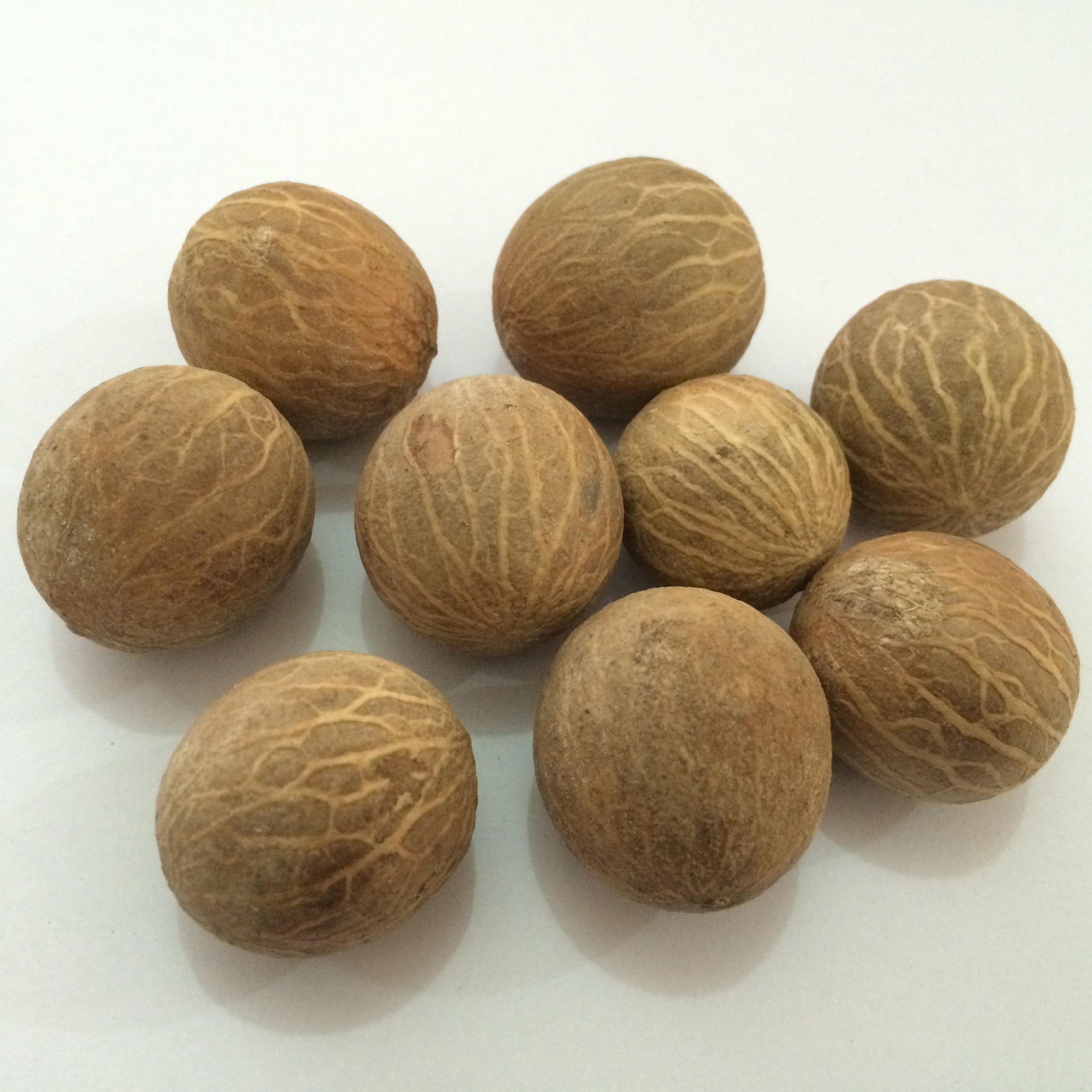 白玉菩提根原果批发 优质 菩提根原籽108 通货一手货源现货