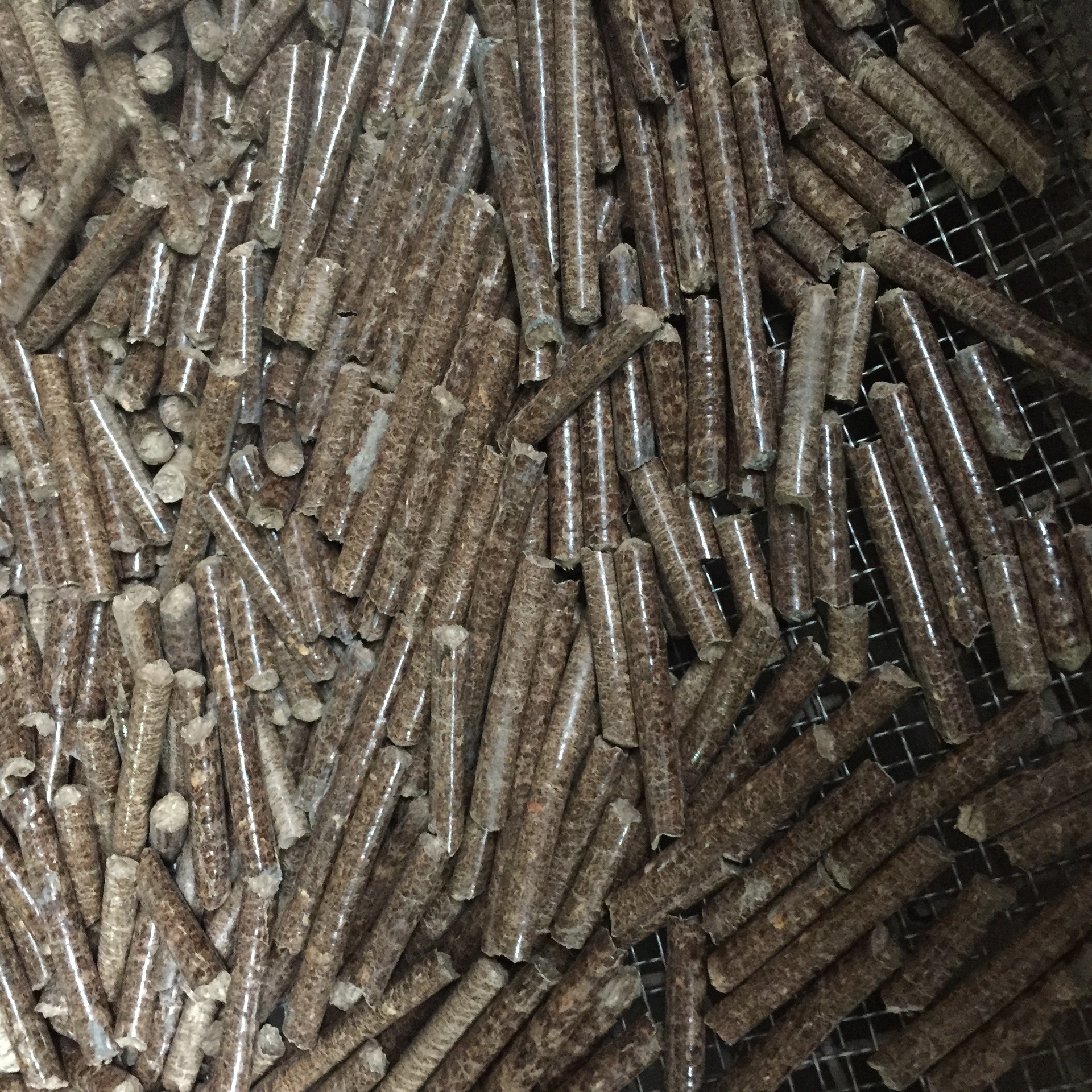 浙江丽水生物质颗粒燃料燃烧 锅炉木屑颗粒 低碳环保 耐用 厂家直销