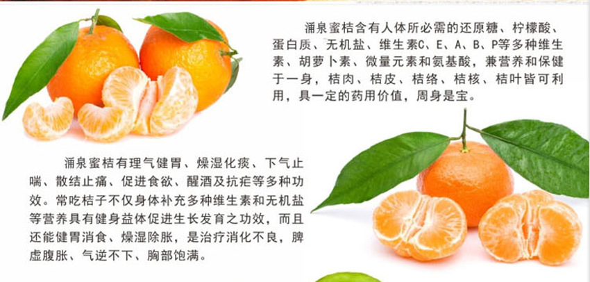 柑橘的药用价值图片
