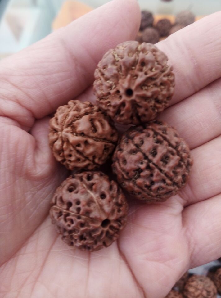 印尼精品金刚菩提子爆肉8瓣 1.8—2.0 一件起批 一手货源